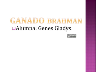 Alumna: Genes Gladys 
 