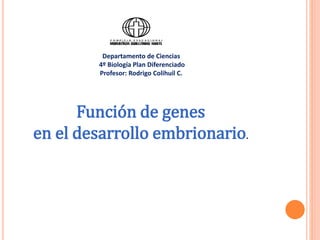 Función de genes
en el desarrollo embrionario.
Departamento de Ciencias
4º Biología Plan Diferenciado
Profesor: Rodrigo Colihuil C.
 