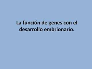 La función de genes con el
desarrollo embrionario.
 