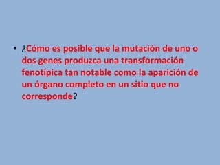 • ¿Cómo es posible que la mutación de uno o
dos genes produzca una transformación
fenotípica tan notable como la aparición de
un órgano completo en un sitio que no
corresponde?
 
