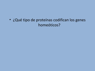 • ¿Qué tipo de proteínas codifican los genes
homeóticos?
 