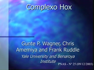 Complexo Hox Gunte P. Wagner, Chris Amemiya and Frank Ruddle Yale University and Benaroya Institute PNAS - Nº 25 (09/12/2003) 