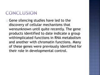 Gene silencing studies have led to the
discovery of cellular mechanisms that
wereunknown until quite recently. The gene
products identified to date indicate a group
withimplicated functions in RNA metabolism
and another with chromatin functions. Many
of these genes were previously identified for
their role in developmental control.
 