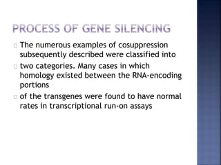 The numerous examples of cosuppression
subsequently described were classified into
two categories. Many cases in which
homology existed between the RNA-encoding
portions
of the transgenes were found to have normal
rates in transcriptional run-on assays
 