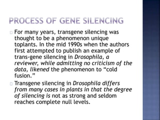 For many years, transgene silencing was
thought to be a phenomenon unique
toplants. In the mid 1990s when the authors
first attempted to publish an example of
trans-gene silencing in Drosophila, a
reviewer, while admitting no criticism of the
data, likened the phenomenon to “cold
fusion.”
Transgene silencing in Drosophila differs
from many cases in plants in that the degree
of silencing is not as strong and seldom
reaches complete null levels.
 