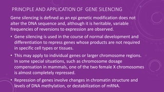 PRINCIPLE AND APPLICATION OF GENE SILENCING
Gene silencing is defined as an epi genetic modification does not
alter the DNA sequence and, although it is heritable, variable
frequencies of reversions to expression are observed.
• Gene silencing is used in the course of normal development and
differentiation to repress genes whose products are not required
in specific cell types or tissues.
• This may apply to individual genes or larger chromosome regions.
In some special situations, such as chromosome dosage
compensation in mammals, one of the two female X chromosomes
is almost completely repressed.
• Repression of genes involve changes in chromatin structure and
levels of DNA methylation, or destabilization of mRNA.
 