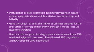 • Perturbation of REST expression during embryogenesis causes
cellular apoptosis, aberrant differentiation and patterning, and
lethality.
• Gene silencing in ES cells, the shRNA ES cell lines are used for the
production of corresponding shRNA transgenic mouse lines via
blastocyst injection.
• Recent studies of gene silencing in plants have revealed two RNA-
mediated epigenetic processes, RNA-directed RNA degradation
and RNA-directed DNA methylation
 