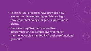 • These natural processes have provided new
avenues for developing high-efficiency, high-
throughput technology for gene suppression in
plants.
• Gene silencingDNA methylationRNA
interferencevirus resistanceinverted repeat
transgenedouble-stranded RNA antisensefunctional
genomics
 