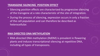 TRANSGENE SILENCING POSITION EFFECT
• Silencing position effects are characterized by progressive silencing
of the transgene at a rate characteristic of the site of integration.
• During the process of silencing, expression occurs in only a fraction
of the cell population and can therefore be described as
heterocellular.
RNA DIRECTED DNA METHYLATION
• RNA-directed DNA methylation (RdDM) is prevalent in flowering
plants and induces transcriptional silencing at repetitive DNA,
including all types of transposons.
 