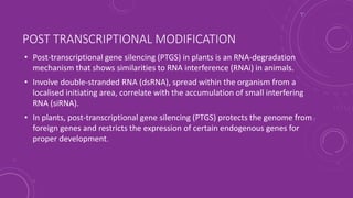 POST TRANSCRIPTIONAL MODIFICATION
• Post-transcriptional gene silencing (PTGS) in plants is an RNA-degradation
mechanism that shows similarities to RNA interference (RNAi) in animals.
• Involve double-stranded RNA (dsRNA), spread within the organism from a
localised initiating area, correlate with the accumulation of small interfering
RNA (siRNA).
• In plants, post-transcriptional gene silencing (PTGS) protects the genome from
foreign genes and restricts the expression of certain endogenous genes for
proper development.
 