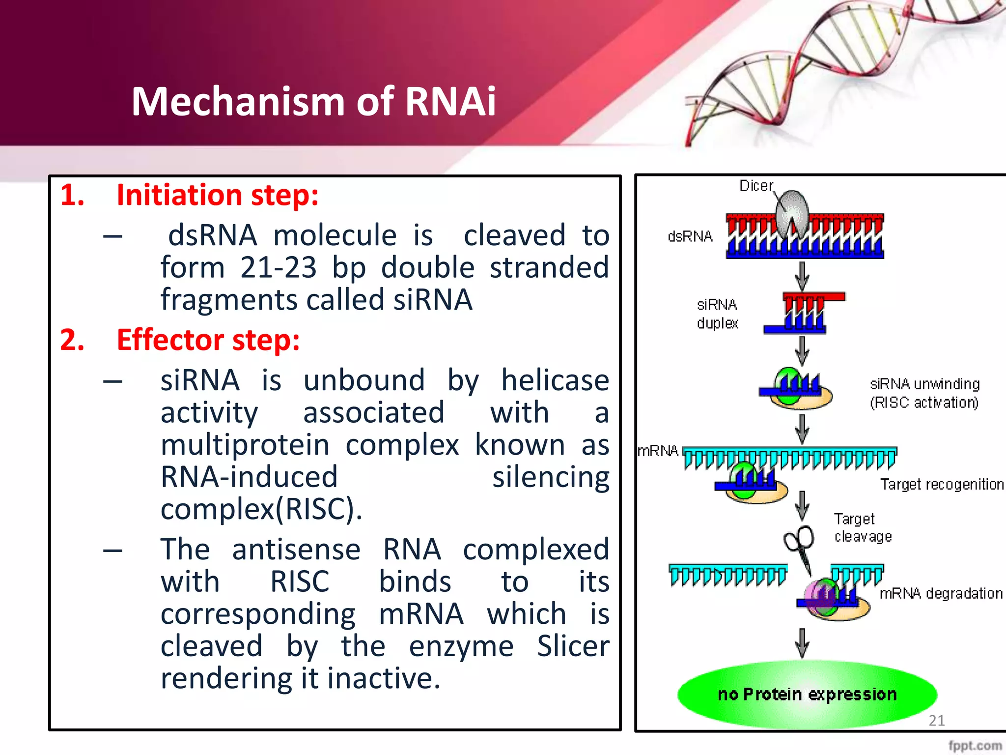Gene silencing and its application in crop improvement | PPTX