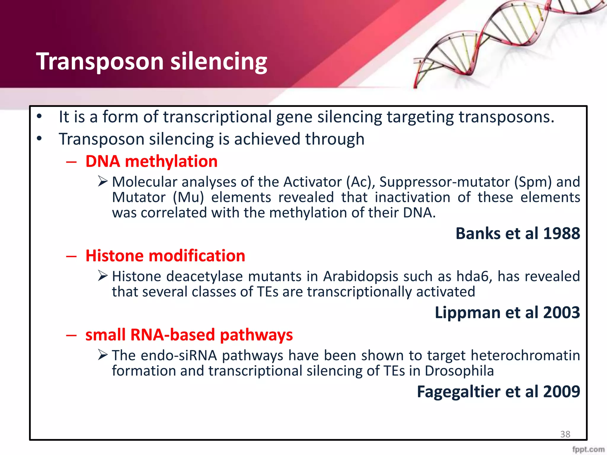 Gene silencing and its application in crop improvement | PPTX