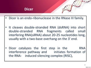 Gene silencing and its application in crop improvement | PPTX