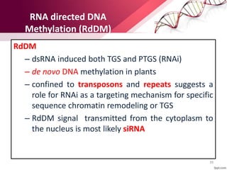 Gene silencing and its application in crop improvement | PPTX