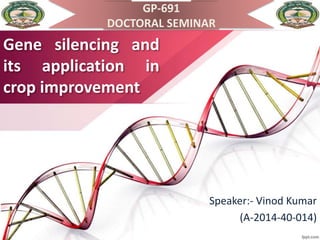 Gene silencing and
its application in
crop improvement
Speaker:- Vinod Kumar
(A-2014-40-014)
GP-691
DOCTORAL SEMINAR
 
