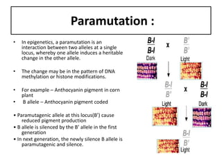 Gene silencing and its significance | PDF