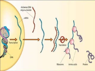 Gene silencing by RNA interference & Antisense therapy