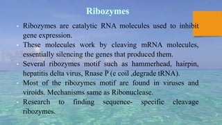 Ribozymes
• Ribozymes are catalytic RNA molecules used to inhibit
gene expression.
• These molecules work by cleaving mRNA molecules,
essentially silencing the genes that produced them.
• Several ribozymes motif such as hammerhead, hairpin,
hepatitis delta virus, Rnase P (e coil ,degrade tRNA).
• Most of the ribozymes motif are found in viruses and
viroids. Mechanisms same as Ribonuclease.
• Research to finding sequence- specific cleavage
ribozymes.
 