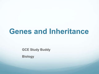Genes and Inheritance
GCE Study Buddy
Biology
 