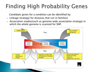 Candidate genes for a condition can be identified by:
   Linkage strategy( for diseases that run in families)
   Association studies(such as genome wide association strategy) in
    which the whole genome is scanned for SNP.
 