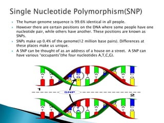 Genes In Psychiatry | PPTX