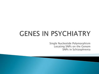 Single Nucleotide Polymorphism
   Locating SNPs on the Genom
          SNPs in Schizophrenia
 