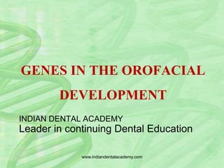 GENES IN THE OROFACIAL
DEVELOPMENT
INDIAN DENTAL ACADEMY
Leader in continuing Dental Education
www.indiandentalacademy.com
 