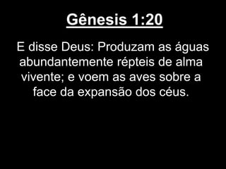 Gênesis 1:20
E disse Deus: Produzam as águas
abundantemente répteis de alma
vivente; e voem as aves sobre a
face da expansão dos céus.
 