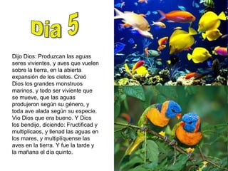 Dia 5 Dijo Dios: Produzcan las aguas seres vivientes, y aves que vuelen sobre la tierra, en la abierta expansión de los cielos. Creó Dios los grandes monstruos marinos, y todo ser viviente que se mueve, que las aguas produjeron según su género, y toda ave alada según su especie. Vio Dios que era bueno. Y Dios los bendijo, diciendo: Fructificad y multiplicaos, y llenad las aguas en los mares, y multiplíquense las aves en la tierra. Y fue la tarde y la mañana el día quinto.  