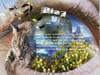 Dia 7 Fueron, pues, acabados los cielos y la tierra, y todo el ejército de ellos. Y acabó Dios en el día séptimo la obra que hizo; y reposó el día séptimo de toda la obra que hizo. Y bendijo Dios al día séptimo, y lo santificó, porque en él reposó de toda la obra que había hecho en la creación.  