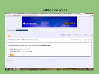 sabana de notas
 