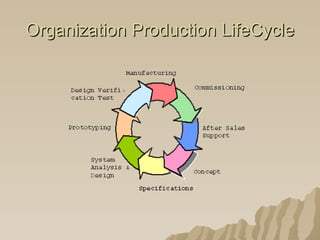 Organization Production LifeCycle 