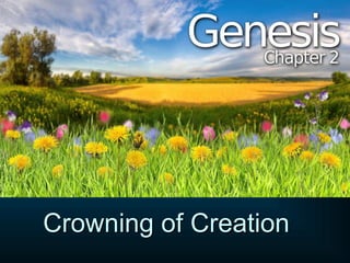 Crowning of Creation
 