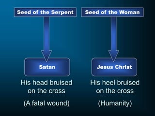 Seed of the Woman
Seed of the Serpent
Satan Jesus Christ
His head bruised
on the cross
(A fatal wound)
His heel bruised
on the cross
(Humanity)
 