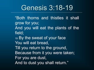 Genesis 3:18-19
“Both thorns and thistles it shall
grow for you;
And you will eat the plants of the
field;
19 By the sweat of your face
You will eat bread,
Till you return to the ground,
Because from it you were taken;
For you are dust,
And to dust you shall return.”
 