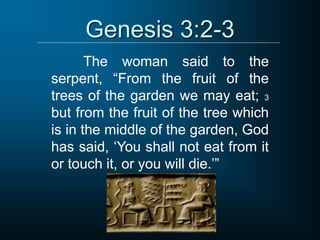 Genesis 3:2-3
The woman said to the
serpent, “From the fruit of the
trees of the garden we may eat; 3
but from the fruit of the tree which
is in the middle of the garden, God
has said, ‘You shall not eat from it
or touch it, or you will die.’”
 
