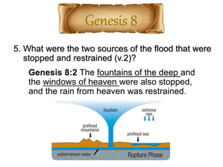 5. What were the two sources of the flood that were
stopped and restrained (v.2)?
Genesis 8:2 The fountains of the deep and
the windows of heaven were also stopped,
and the rain from heaven was restrained.
 