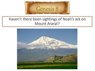 Haven’t there been sightings of Noah’s ark on
Mount Ararat?
 