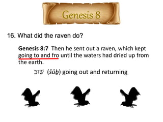 16. What did the raven do?
Genesis 8:7 Then he sent out a raven, which kept
going to and fro until the waters had dried up from
the earth.
‫שּוב‬ (šûḇ) going out and returning
 