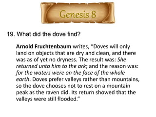 19. What did the dove find?
Arnold Fruchtenbaum writes, “Doves will only
land on objects that are dry and clean, and there
was as of yet no dryness. The result was: She
returned unto him to the ark; and the reason was:
for the waters were on the face of the whole
earth. Doves prefer valleys rather than mountains,
so the dove chooses not to rest on a mountain
peak as the raven did. Its return showed that the
valleys were still flooded.”
 