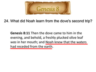 24. What did Noah learn from the dove's second trip?
Genesis 8:11 Then the dove came to him in the
evening, and behold, a freshly plucked olive leaf
was in her mouth; and Noah knew that the waters
had receded from the earth.
 