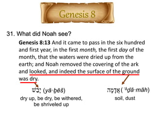 31. What did Noah see?
Genesis 8:13 And it came to pass in the six hundred
and first year, in the first month, the first day of the
month, that the waters were dried up from the
earth; and Noah removed the covering of the ark
and looked, and indeed the surface of the ground
was dry.
‫ה‬ָ‫מ‬ָ‫ֲד‬‫א‬(ʾǎḏā·māh)
soil, dust
‫ש‬ֵ‫ָב‬‫י‬ (yā·ḇēš)
dry up, be dry, be withered,
be shriveled up
 