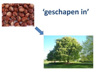 ‘geschapen in’
 