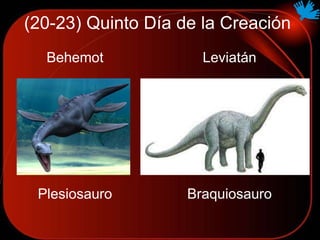 Plesiosauro Braquiosauro
Behemot Leviatán
(20-23) Quinto Día de la Creación
 