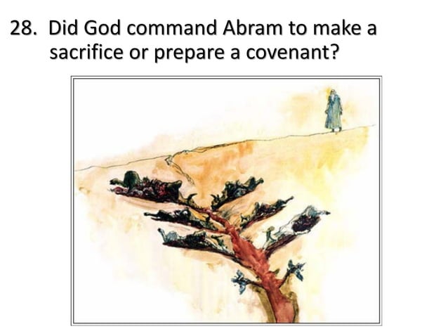 God's Covenant with Abraham | PDF