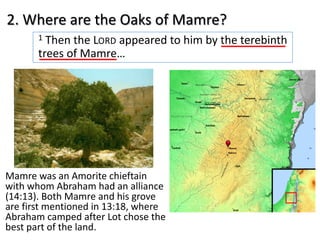 2. Where are the Oaks of Mamre?
Mamre was an Amorite chieftain
with whom Abraham had an alliance
(14:13). Both Mamre and his grove
are first mentioned in 13:18, where
Abraham camped after Lot chose the
best part of the land.
1 Then the LORD appeared to him by the terebinth
trees of Mamre…
 