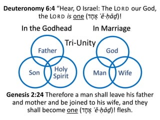 ≈ç
≈ç
≈ç
≈ç
Tri-Unity
Deuteronomy 6:4 “Hear, O Israel: The LO RD our God,
the LO RD is one ( ‫א‬ֶ‫ח‬ָ‫ד‬ ʾě·ḥāḏ)!
Genesis 2:24 Therefore a man shall leave his father
and mother and be joined to his wife, and they
shall become one ( ‫א‬ֶ‫ח‬ָ‫ד‬ ʾě·ḥāḏ)! flesh.
 
