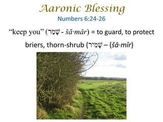 “keep you” - šā·mǎr) = to guard, to protect
briers, thorn-shrub ( – (šā·mîr)
‫שׁ‬ָ‫מ‬ַ‫ר‬(
‫שׁ‬ָ‫מ‬ִ‫י‬‫ר‬
 