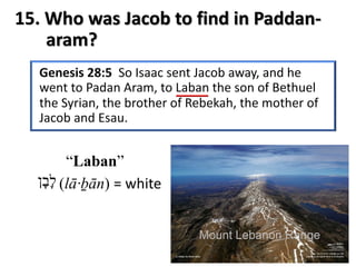 15. Who was Jacob to find in Paddan-
aram?
‫ל‬ָ‫ב‬ָ‫ן‬
“Laban”
(lā·ḇān) = white
 