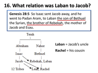 16. What relation was Laban to Jacob?
Laban = Jacob’s uncle
Rachel = his cousin
 
